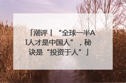 潮评丨“全球一半AI人才是中国人”，秘诀是“投资于人”
