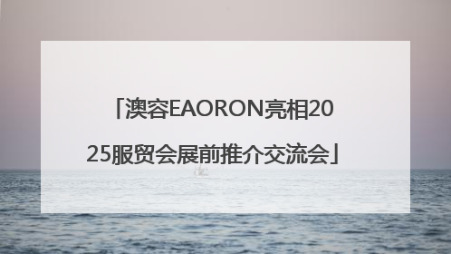 澳容EAORON亮相2025服贸会展前推介交流会