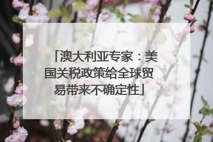 澳大利亚专家：美国关税政策给全球贸易带来不确定性
