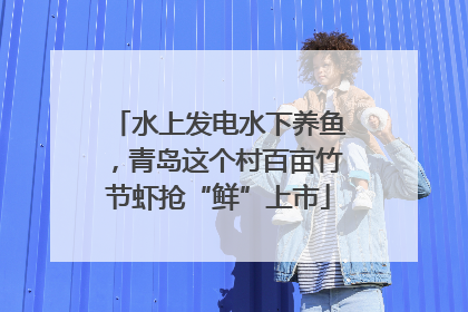 水上发电水下养鱼，青岛这个村百亩竹节虾抢“鲜”上市