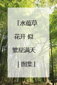 水蕴草花开 似繁星满天｜图集