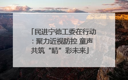 民进宁德工委在行动：聚力近视防控 童声共筑“睛”彩未来