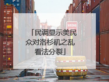 民调显示美民众对洛杉矶之乱看法分裂