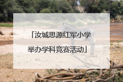 汝城思源红军小学举办学科竞赛活动