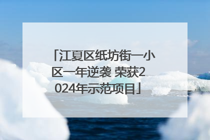 江夏区纸坊街一小区一年逆袭 荣获2024年示范项目