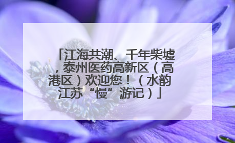 江海共潮、千年柴墟，泰州医药高新区（高港区）欢迎您！（水韵江苏“慢”游记）