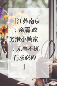 江苏南京：亲清·政务港小管家：无事不扰 有求必应