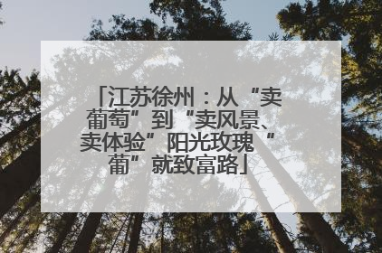 江苏徐州：从“卖葡萄”到“卖风景、卖体验”阳光玫瑰“葡”就致富路