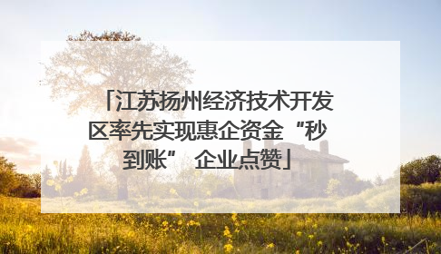 江苏扬州经济技术开发区率先实现惠企资金“秒到账” 企业点赞