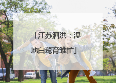 江苏泗洪：湿地白鹭育雏忙
