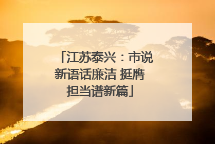 江苏泰兴：市说新语话廉洁 挺膺担当谱新篇