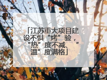 江苏重大项目建设不惧“烤”验，“热”度不减、“温”度满格