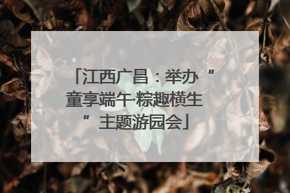 江西广昌：举办“童享端午·粽趣横生”主题游园会