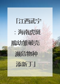 江西武宁：海南虎斑鳽幼雏破壳 濒危物种添新丁