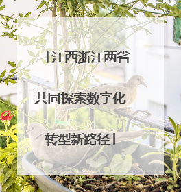 江西浙江两省共同探索数字化转型新路径