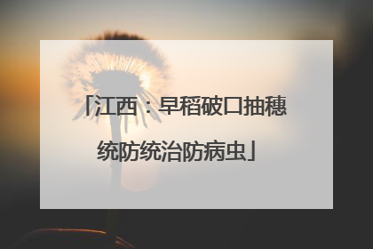江西：早稻破口抽穗 统防统治防病虫