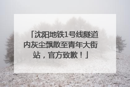 沈阳地铁1号线隧道内灰尘飘散至青年大街站，官方致歉！