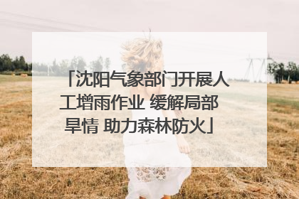 沈阳气象部门开展人工增雨作业 缓解局部旱情 助力森林防火