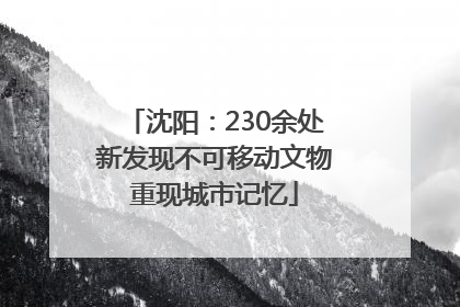沈阳：230余处新发现不可移动文物重现城市记忆