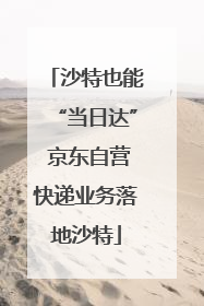沙特也能“当日达” 京东自营快递业务落地沙特