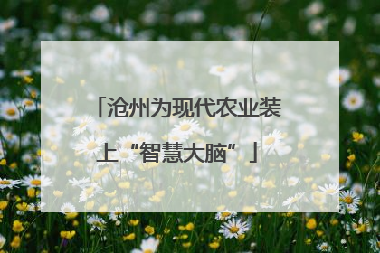 沧州为现代农业装上“智慧大脑”