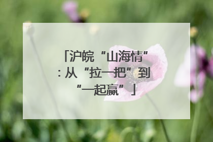 沪皖“山海情”：从“拉一把”到“一起赢”
