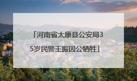 河南省太康县公安局35岁民警王振因公牺牲