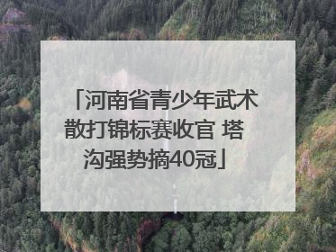 河南省青少年武术散打锦标赛收官 塔沟强势摘40冠