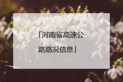 河南省高速公路路况信息