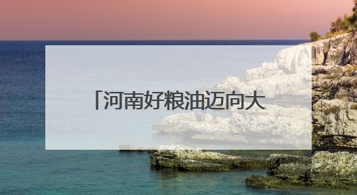 河南好粮油迈向大市场 福建粮洽会上签约38.5万吨揽金11.5亿元