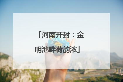 河南开封：金明池畔荷韵浓