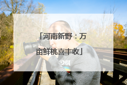 河南新野：万亩鲜桃喜丰收
