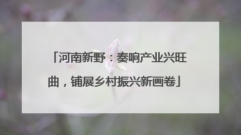 河南新野：奏响产业兴旺曲，铺展乡村振兴新画卷