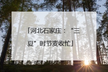 河北石家庄：“三夏”时节麦收忙