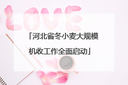 河北省冬小麦大规模机收工作全面启动