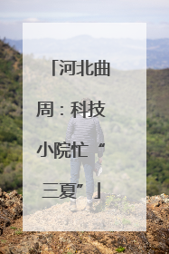 河北曲周：科技小院忙“三夏”