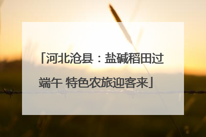 河北沧县：盐碱稻田过端午 特色农旅迎客来