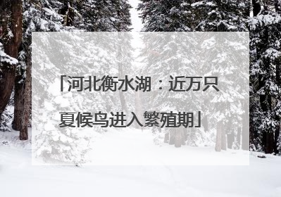 河北衡水湖：近万只夏候鸟进入繁殖期