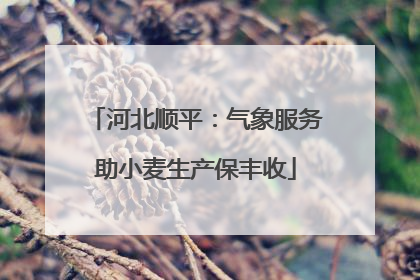 河北顺平：气象服务助小麦生产保丰收