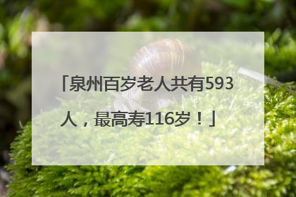泉州百岁老人共有593人，最高寿116岁！