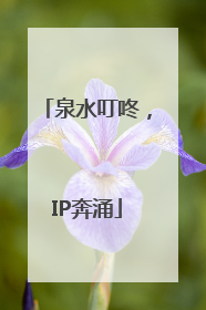 泉水叮咚，IP奔涌
