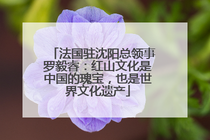 法国驻沈阳总领事罗毅睿：红山文化是中国的瑰宝，也是世界文化遗产