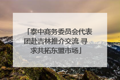 泰中商务委员会代表团赴吉林推介交流 寻求共拓东盟市场