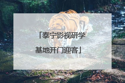 泰宁影视研学基地开门迎客