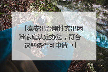 泰安出台刚性支出困难家庭认定办法，符合这些条件可申请→
