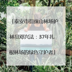 泰安市徂徕山林场护林员邓兴法：37年扎根林场的绿色守护者