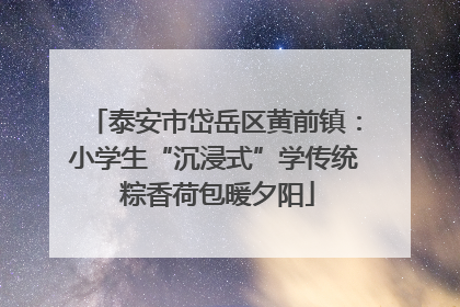 泰安市岱岳区黄前镇：小学生“沉浸式”学传统 粽香荷包暖夕阳