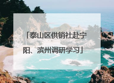 泰山区供销社赴宁阳、滨州调研学习