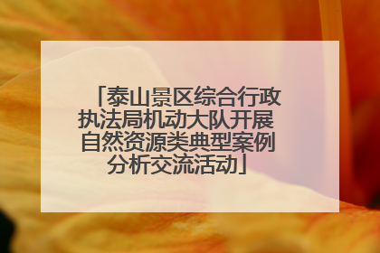 泰山景区综合行政执法局机动大队开展自然资源类典型案例分析交流活动
