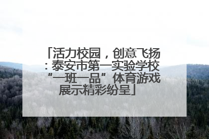 活力校园，创意飞扬：泰安市第一实验学校“一班一品”体育游戏展示精彩纷呈